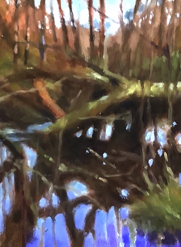 Fallen tree
